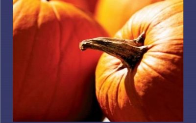 Pumpkin Spice – 12 oz